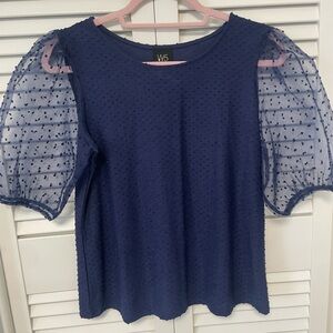 Blue adorable top with sheer puffy sleeves. New never worn.